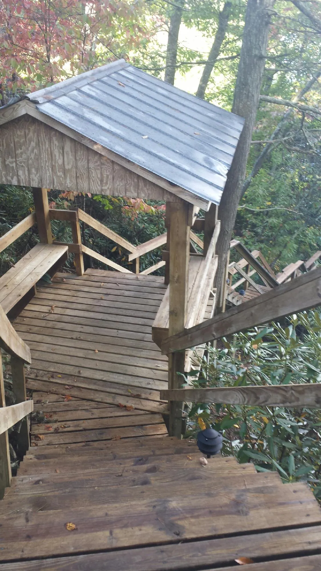 Metal roofed shelter over wooden steps on a wooded walkway — Skylight Repair & Installation work by our crew in Blue Grass