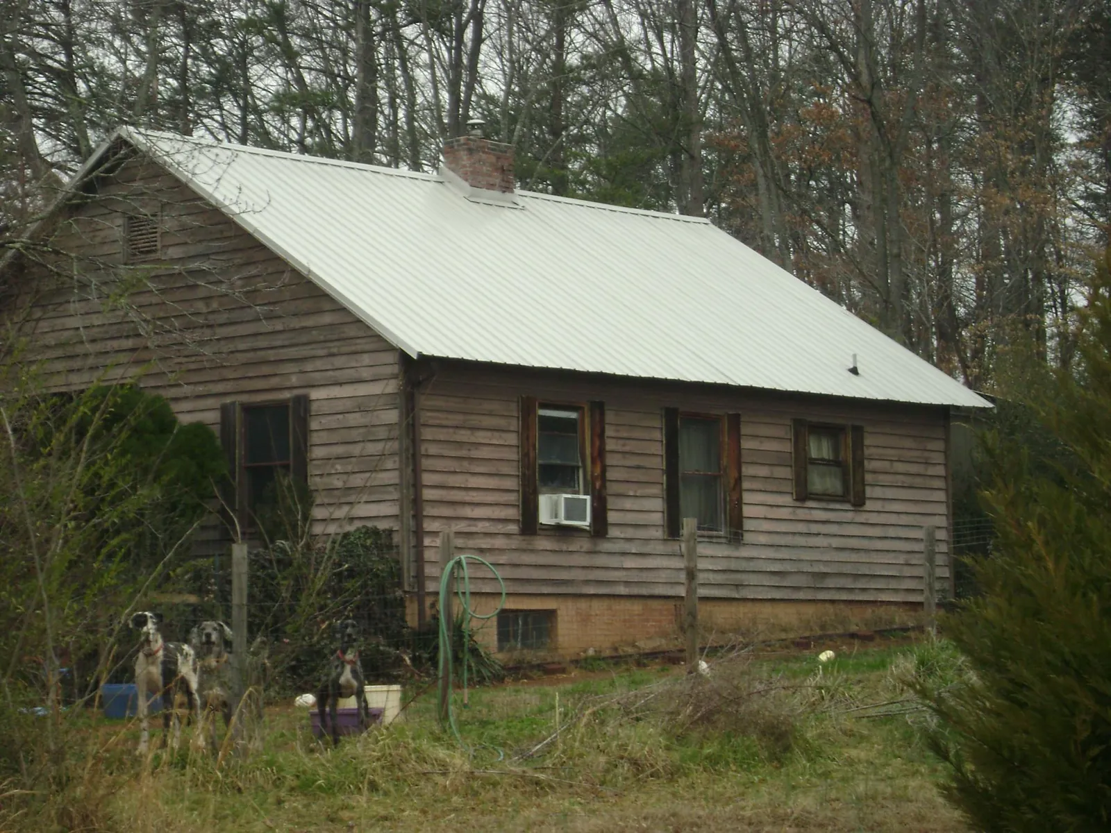 White metal roof on an old wood sided farmhouse in Blue Grass